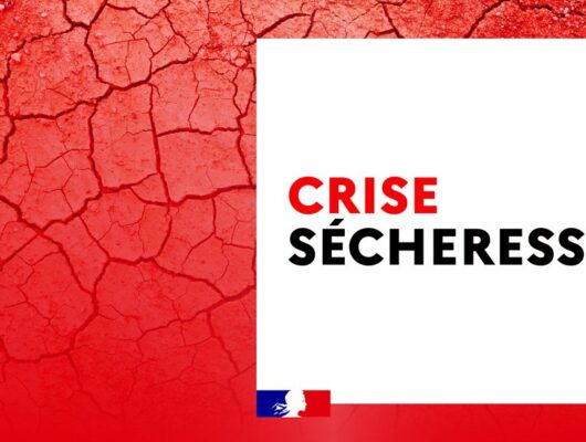 Thumbnail for the post titled: Crise Sécheresse